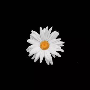 雏田乳❌🔞🔞㊙️网站
